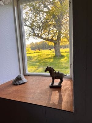 Fyra sängplatser i ett magasin på södra Gotland - Bild 6