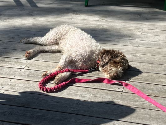 Fritidshus ”Solskär” - Bild 11