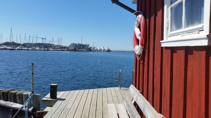 Liten stuga i Bleket på Tjörn uthyres - Bild 25