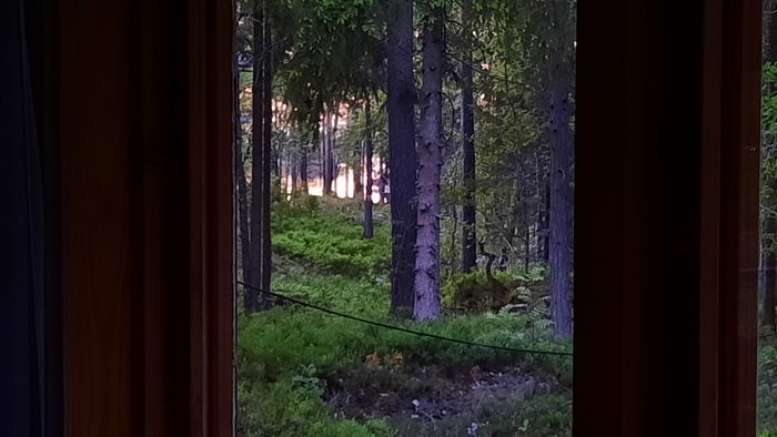 Bild 3 på Stuga nära Herräng Dance camp, 200 m till havsvik