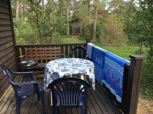 Bild 3 på Stuga i tallskog mitt på Gotland