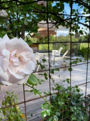 Mysigt torp - Bild 71