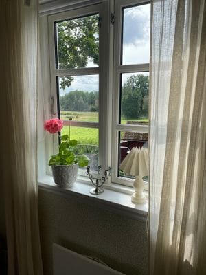 Mysigt torp - Bild 73