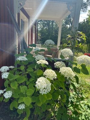 Mysigt torp - Bild 76