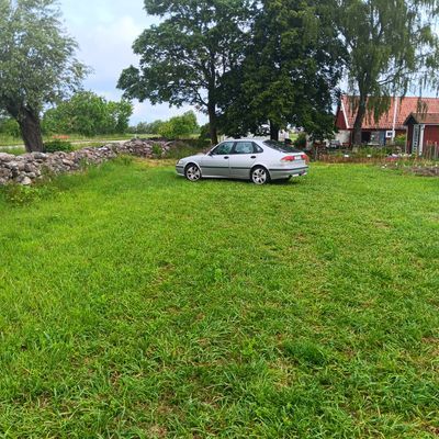 Torp i Torp,Öland - Bild 30