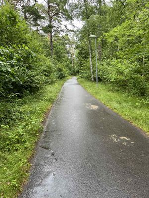 Cykelväg till Båstad