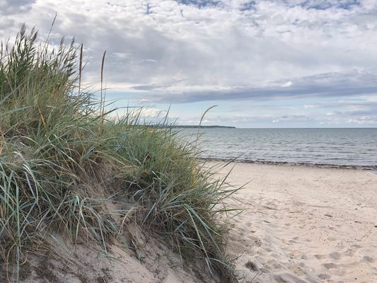 Hyr denna stuga i Farhult på 50 m². 4 sängplatser. Från 8 000 kr per vecka. Se bilder och tillgänglighet här.