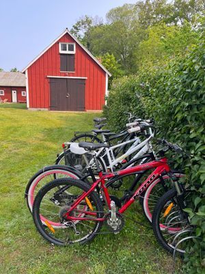Charmigt sommarboende mitt i Böda med 1400kvm tomt - Bild 11
