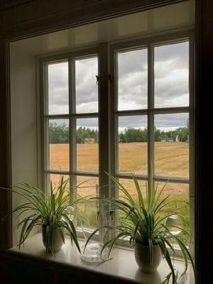 Skärgårdsidyll Gräddö - Bild 8