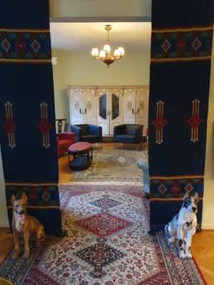 Österlen-tillfälle att hyra villan Charlottenborg - Bild 21