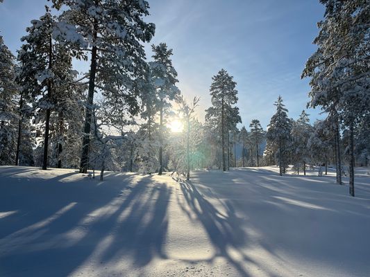 Bild 3 på Super mysig stuga Hundfjället/Tandådalen