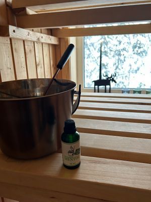 Mysig nyrenoverad timmerstuga i Sälen - Bild 17