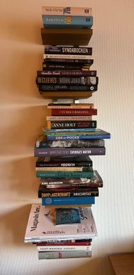 Nyrenoverad övervån. Årebjörnen med vacker utsikt - Bild 9