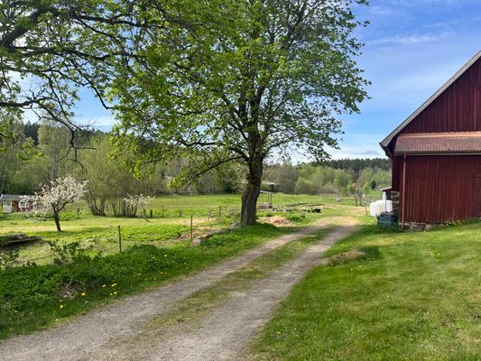 Gamla caféet  - perfekt för den större familjen - Bild 40