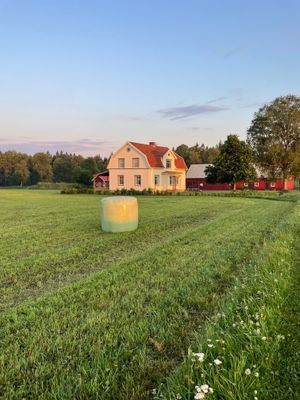Solen går upp över Björkbacken