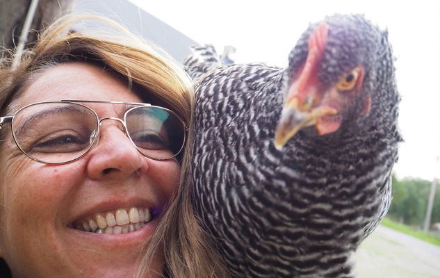 Charmigt torp | Vacker bondgård, nära sjön med båt - Bild 21