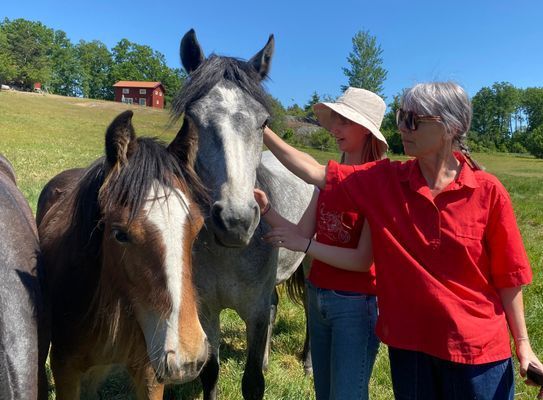 Charmigt torp | Vacker bondgård, nära sjön med båt - Bild 22