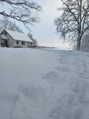 Julfirande i hus på stor strandtomt vid Mälaren