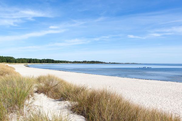 En idyllisk oas med stranden som granne!