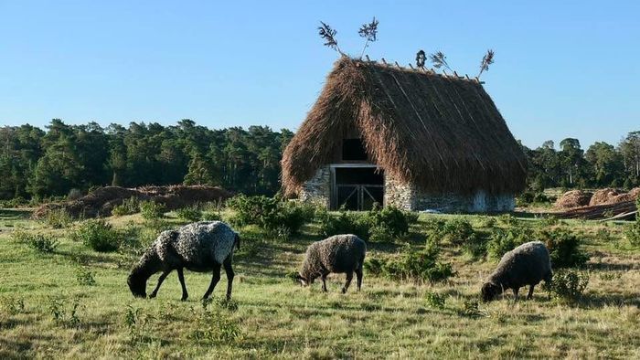 Visby innanför murarna med Terass och innergård - Bild 15