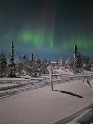 Mysigt fjällhus i Jämtland - Bild 22