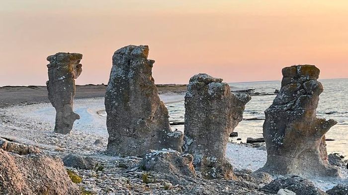 Visby innanför murarna med Terass och innergård - Bild 16