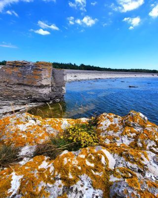 Visby innanför murarna med Terass och innergård - Bild 17