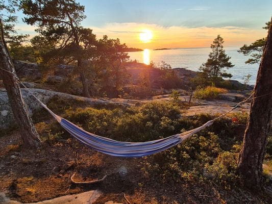 Hängmattor i Tallparken