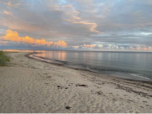 Nybyggd sommarstuga uthyres Östergarn Gotland - Bild 10