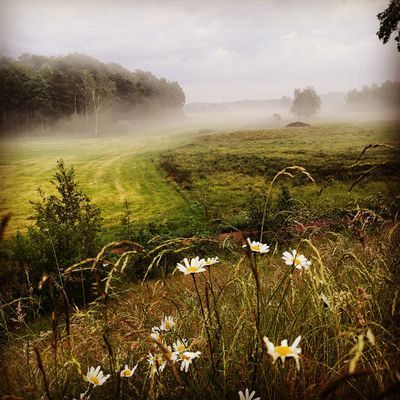 Stuga,  4 bäddar nära äventyrspark i södra Halland - Bild 14