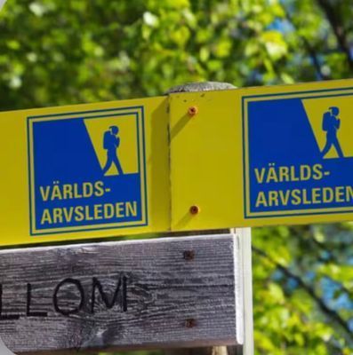 Hundvänligt familjeparadis mitt i Norrfällsviken - Bild 14