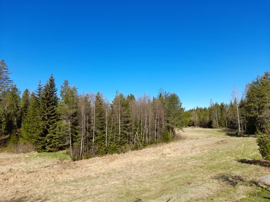 Stuga med härligt läge omgärdad av skog nära badsj - Bild 12