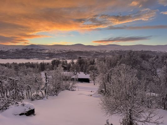Utsikt från stugan