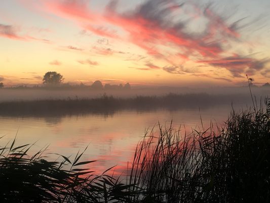 Nyehusen - Yngsjö - Bild 13