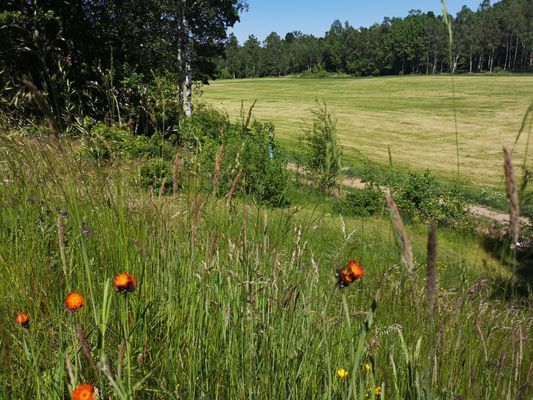 Stuga,  4 bäddar nära äventyrspark i södra Halland - Bild 47