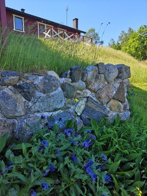 Stuga,  4 bäddar nära äventyrspark i södra Halland - Bild 46