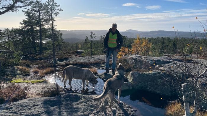 Charmigt Semesterhus med bastu och trädgård - Bild 24