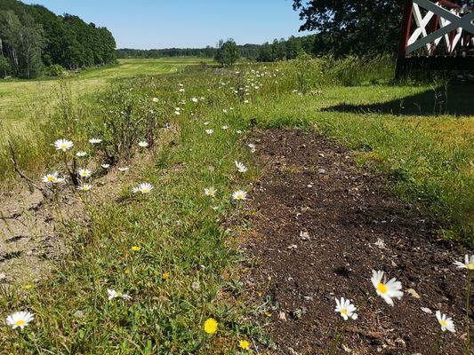 Stuga,  4 bäddar nära äventyrspark i södra Halland - Bild 48