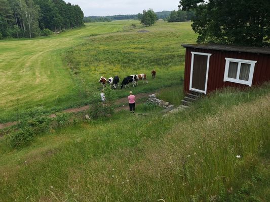 Stuga,  4 bäddar nära äventyrspark i södra Halland - Bild 11