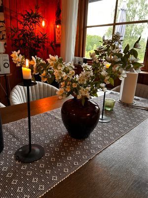 Hus nära skog, hav och ängar - Bild 9