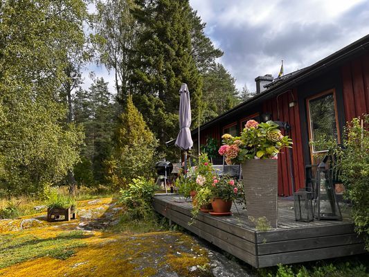 Hus nära skog, hav och ängar - Bild 12
