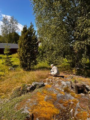 Hus nära skog, hav och ängar - Bild 11