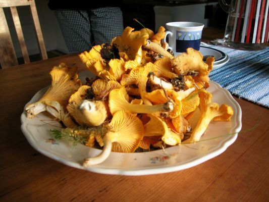 Hyr denna stuga i Västra Götaland på 72 m². 6 sängplatser. Från 5 323 kr per vecka. Se bilder och tillgänglighet här.