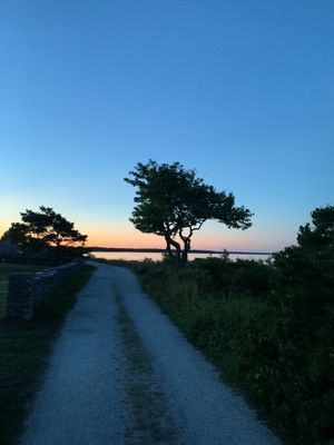 Underbara kvällar i Ljugarn
