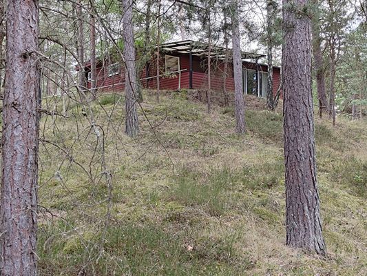 Sommarstuga - Bild 8