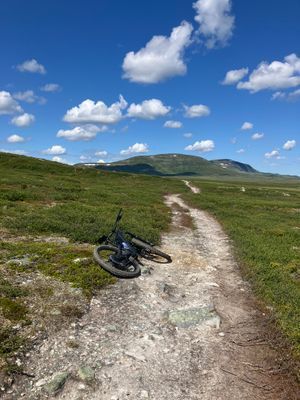 Magisk panorama utsikt (830möh) - söderläge - Bild 35