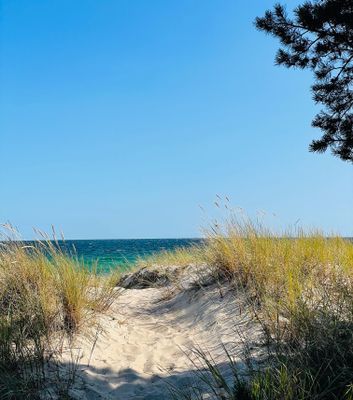 Hus i skogen nära Köpingsvik - Bild 17