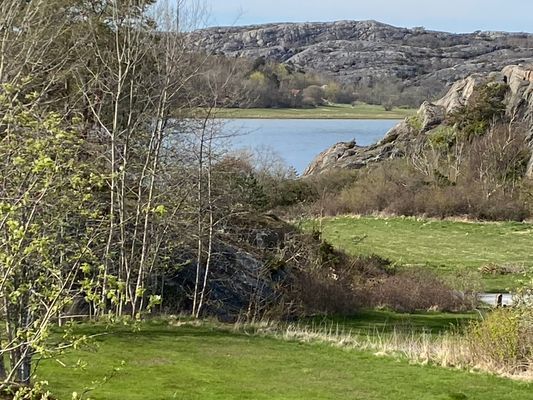 Utsikt från huset