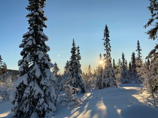 Björnrikes bästa Ski in Ski out - Vemdalen - Bild 36