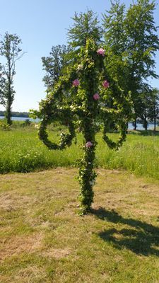 Villa, nära långgrund strand i enskilt område - Bild 11